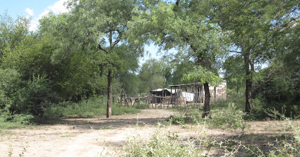 Chaco Wichi - 3 Pozos